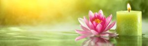 Your Salon and Spa Wellness at Your Salon and Spa